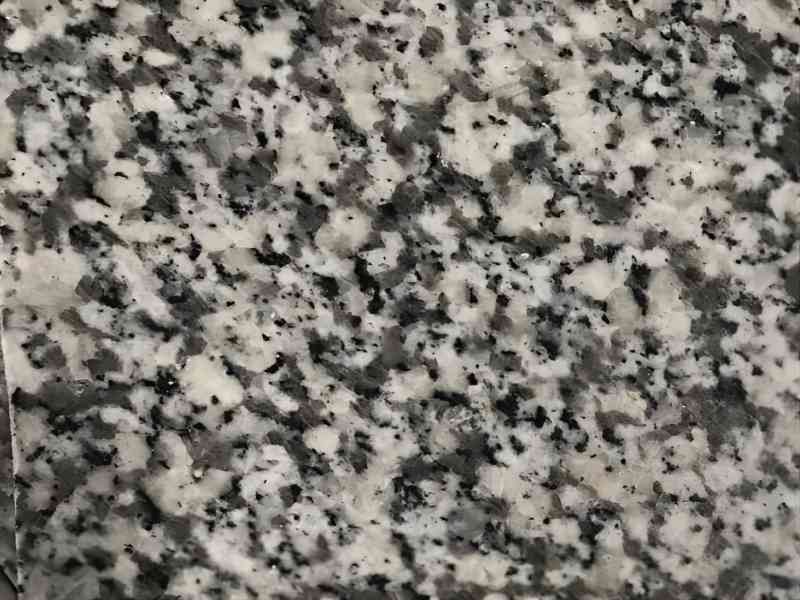 Ivory White granite slab with bold black and grey spots